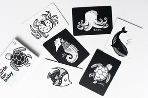 Wee Gallery Black & White Art Cards - Ocean Animals