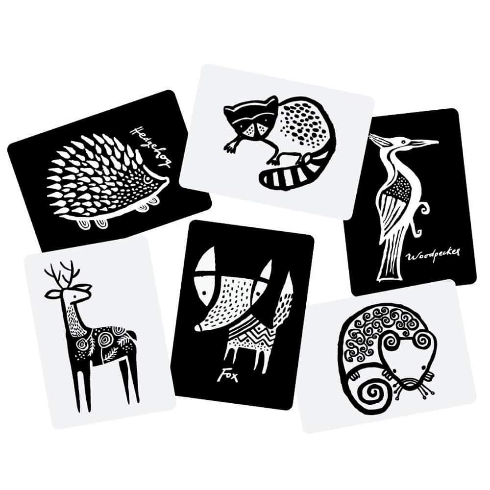 Wee Gallery Black & White Art Cards - Safari Animals